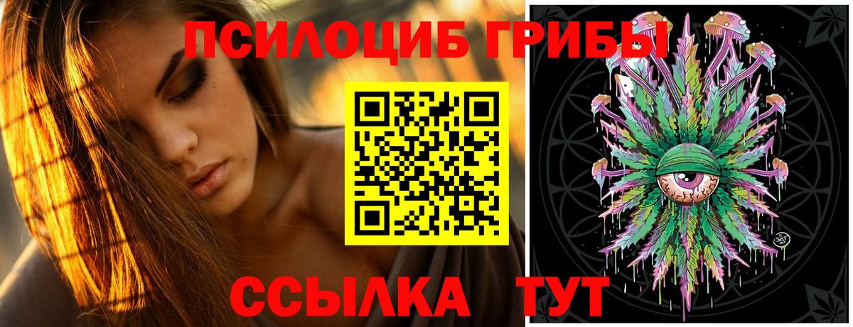 наркотики  Псилоцибиновые грибы мицелий  Вход с VPN  Великий Новгород  Галлюциногенные грибы Psilocybine cubensis 