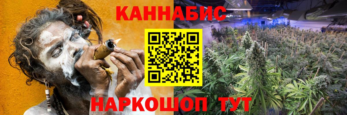 Конопля индика Великий Новгород
