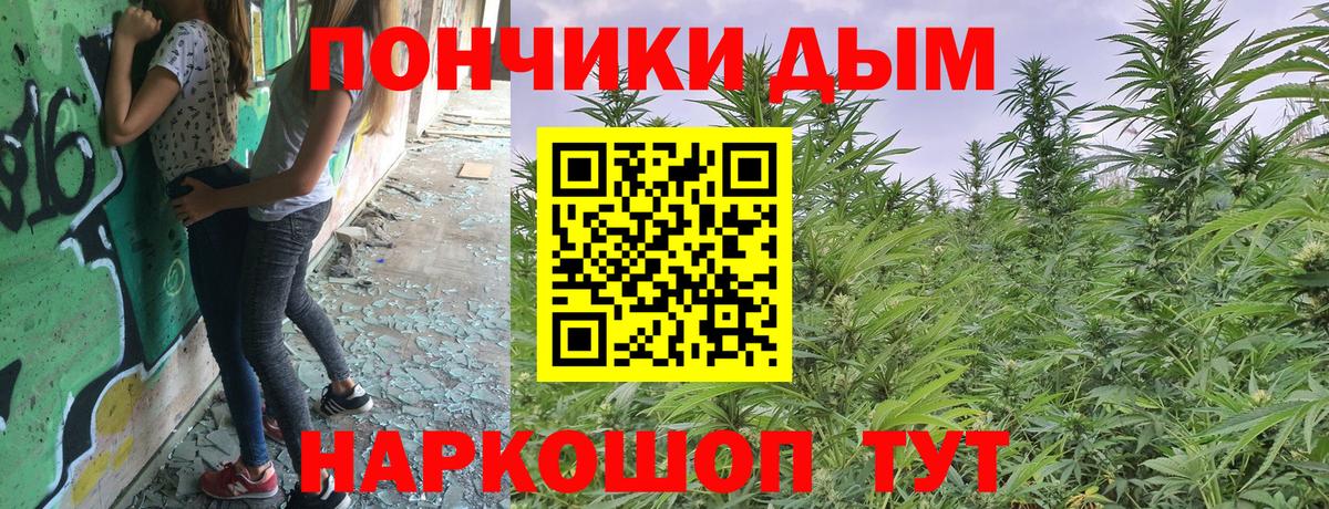 Шишки марихуана MAZAR  Конопля семена  Великий Новгород  Вход с VPN 